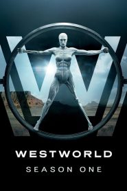Westworld: فصل 1