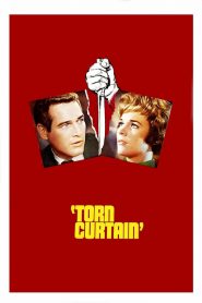 Torn Curtain