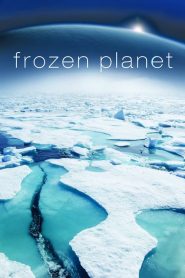 Frozen Planet: فصل 1