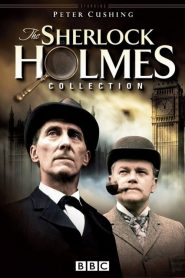 Sherlock Holmes: فصل 2