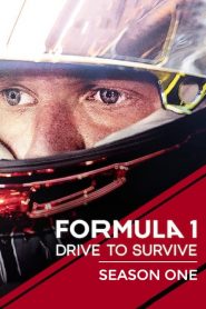 Formula 1: Drive to Survive: فصل 1