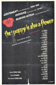 Poppies Are Also Flowers