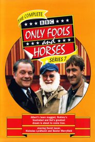Only Fools and Horses: فصل 7