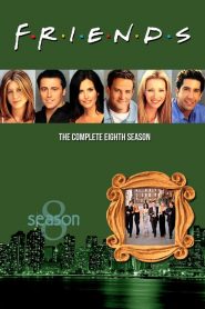 Friends: فصل 8