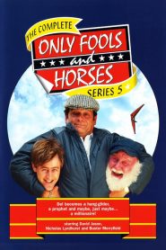 Only Fools and Horses: فصل 5