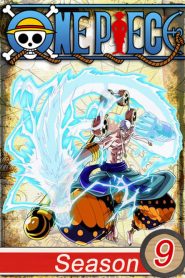 One Piece: فصل 9