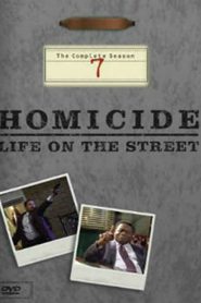 Homicide: Life on the Street: فصل 7
