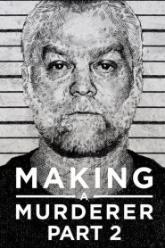 Making a Murderer: فصل 2