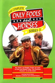Only Fools and Horses: فصل 3