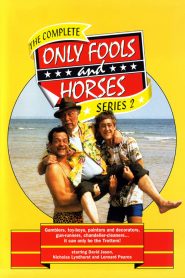 Only Fools and Horses: فصل 2
