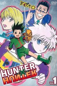 Hunter x Hunter: فصل 1