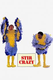 Stir Crazy