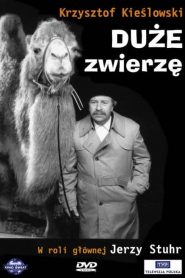 The Big Animal