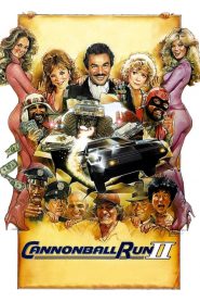 Cannonball Run II
