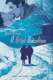 A Brief Vacation