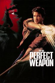 The Perfect Weapon