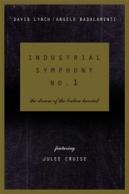 Industrial Symphony No. 1: The Dream of the Brokenhearted