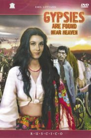 Gypsies Are Found Near Heaven