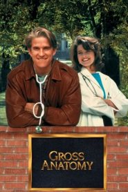 Gross Anatomy