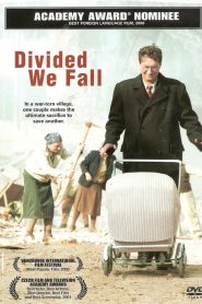 Divided We Fall