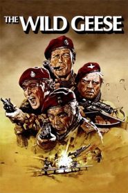 The Wild Geese