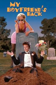 My Boyfriend’s Back