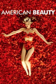American Beauty