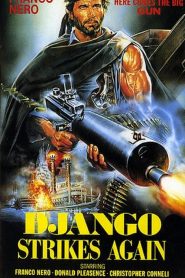 Django Strikes Again