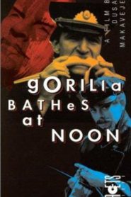 Gorilla Bathes at Noon