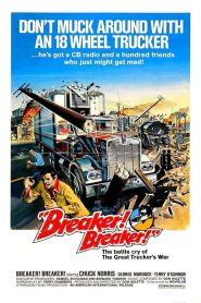 Breaker! Breaker!