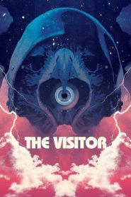 The Visitor