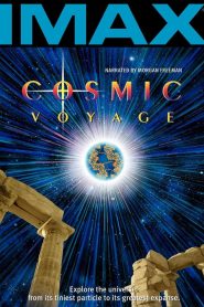 Cosmic Voyage