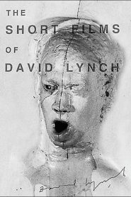 The Short Films of David Lynch