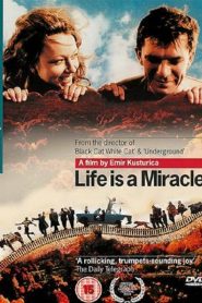Life Is a Miracle
