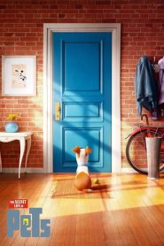 The Secret Life of Pets