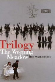The Weeping Meadow
