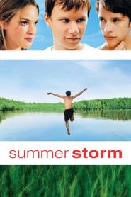 Summer Storm