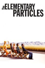 The Elementary Particles