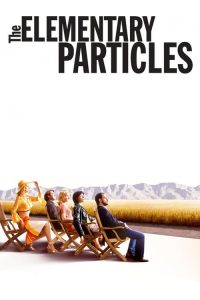 The Elementary Particles