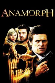Anamorph
