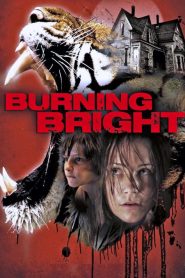 Burning Bright