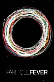 Particle Fever