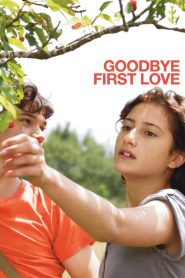 Goodbye First Love