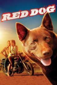 Red Dog