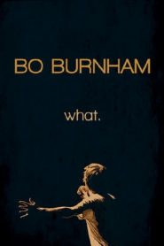 Bo Burnham: What.