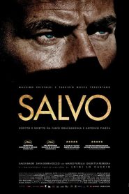 Salvo