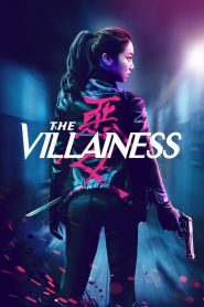 The Villainess