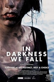 In Darkness We Fall