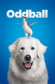Oddball