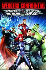 Avengers Confidential: Black Widow & Punisher